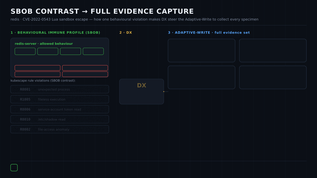 Three-stage animation — a redis SBOB (allowed behaviour: PING, GET, SET, EXPIRE) is broken by a CVE-2022-0543 Lua sandbox escape (whoami, /etc/shadow read, C2 lookup, fileless exec); Kubescape rules fire (R0001, R1005, R0006, R0010, R0002); DX sees the violation and issues OrderExportAll; the Adaptive-Write captures the full evidence set.